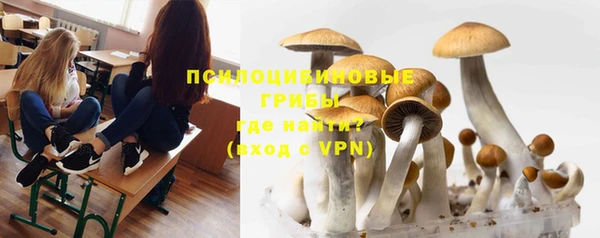 соль ск Ладушкин