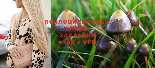 не бодяженный Баксан