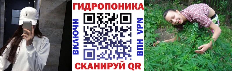 купить наркотик  mega зеркало  Каннабис MAZAR  Заволжье 